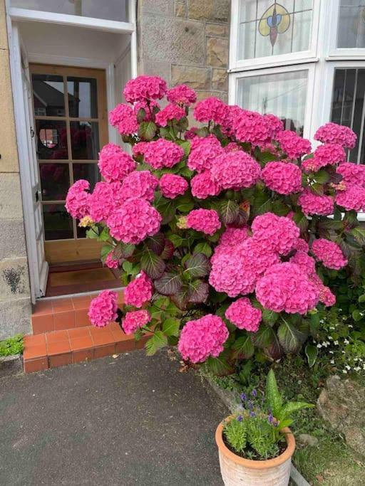 Kelvinside, Seahouses, 2 Minute Walk Into Village 外观 照片
