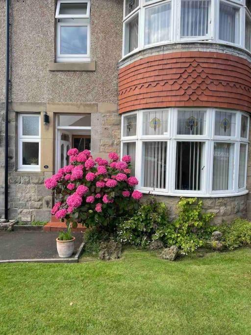 Kelvinside, Seahouses, 2 Minute Walk Into Village 外观 照片