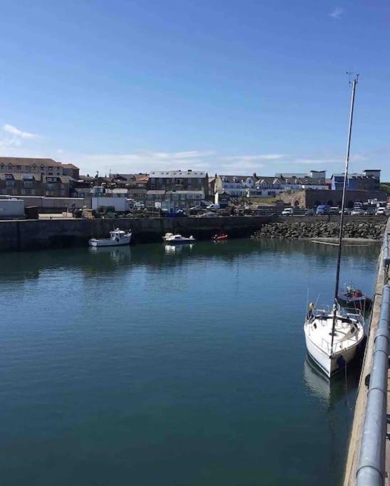 Kelvinside, Seahouses, 2 Minute Walk Into Village 外观 照片